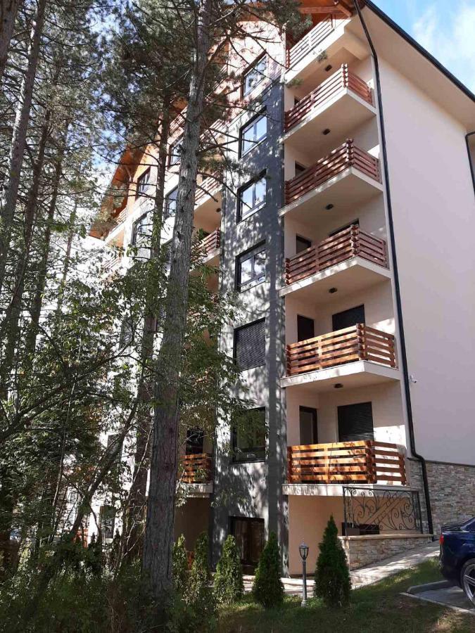 Apartment Silver Lux *